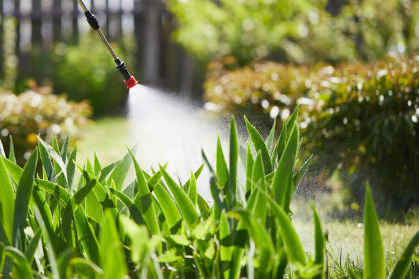 24/7 Emergency Mosquito Control experts in Versailles, KY