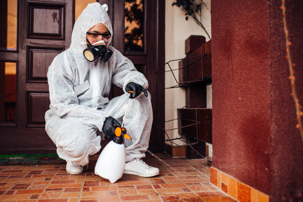 Reliable Mosquito Control contractor in Versailles, KY by Show Me Pest Control