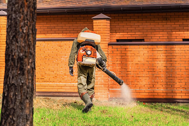 Top rated local Mosquito Control specialists in Versailles, KY